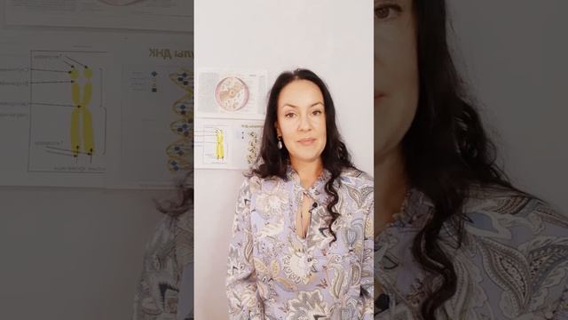 Жидкие кристаллы хромосом #shorts