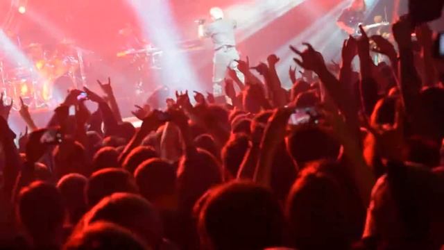 Алиса Колобок Live