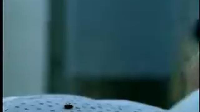 не верь глазам своим!