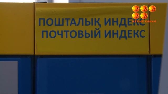 Эксперимент по выживанию.