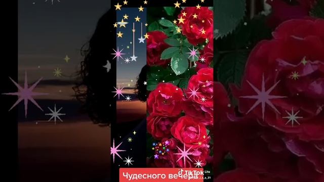 abd2d6e9a73a4809e89a75e6cabf7348_1737913334094