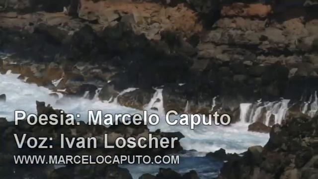 Marcelo Caputo - Evolucion