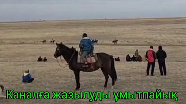 ТОП бәйге 15 км. Жетісу облысы, Ақсу ауданы, Еңбек ауылы ҚОҚТЫ Атшабары 06.11.2022 жыл