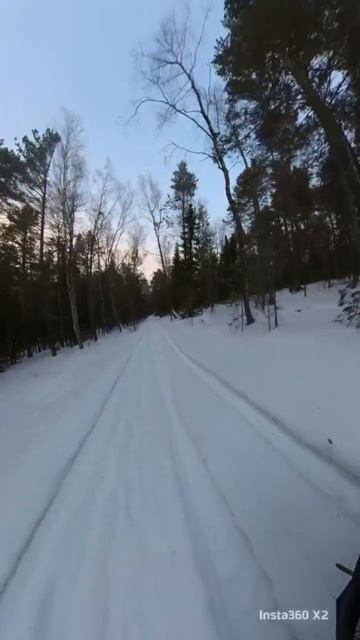 Квадроцикл прогулка по лесу.
