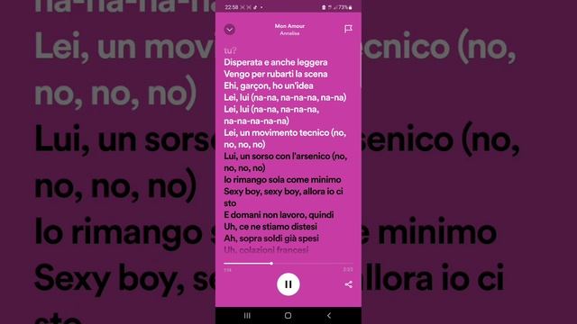 song lyrics [music] (mon amour)