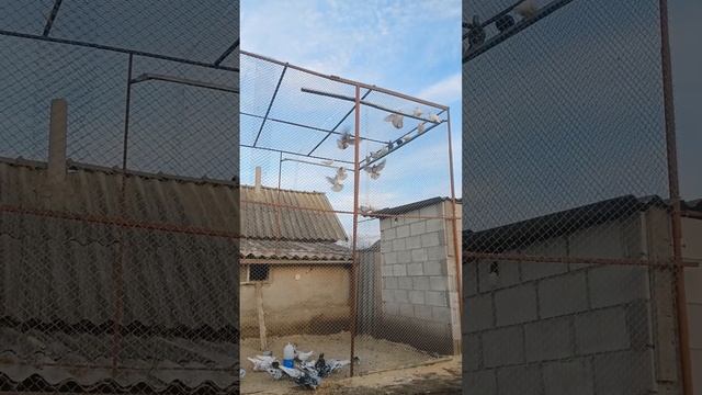 22 декабря 2023 г.