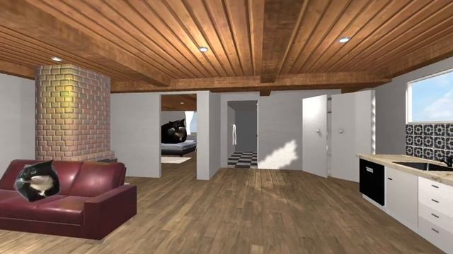 MAXWELL THE CAT WATCHING MAXWELL CAT IN DIFFERENT PLACE 360°