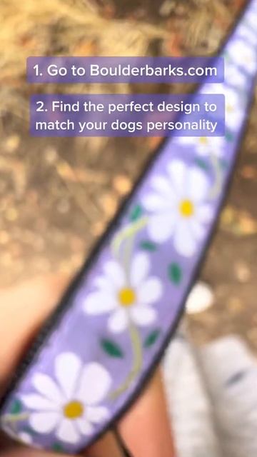 Daisy Dog Collar & Leash