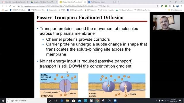 AP Biology Chapter 5: Membrane Transport and Cell Signaling