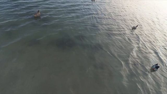 Очередная охота на утку и кульминация охоты номер 2,засадили Ниву.