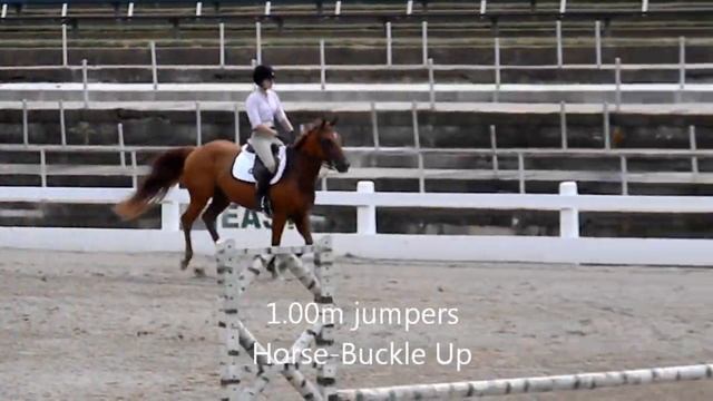 CPI Application Video