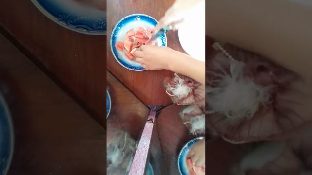 Как сделать арбуз без бубак без напряжения