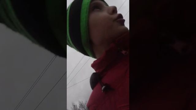 Грэя немецкая овчарка 2 месеца