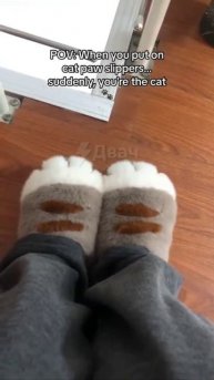 ЛАПОЧКИ ТАПОЧКИ