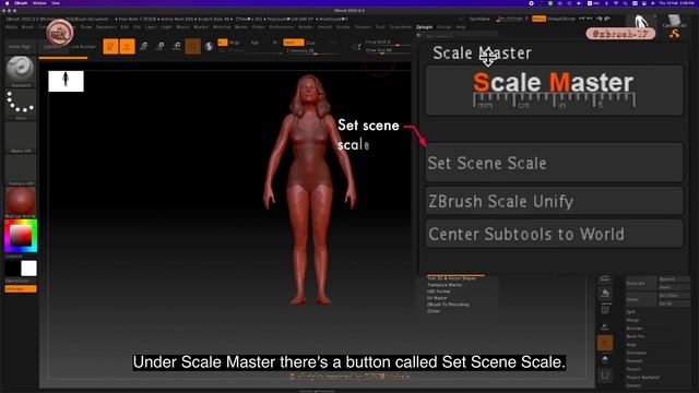 ZB_18.04 | How to switch measurement units to millimetres(mm).