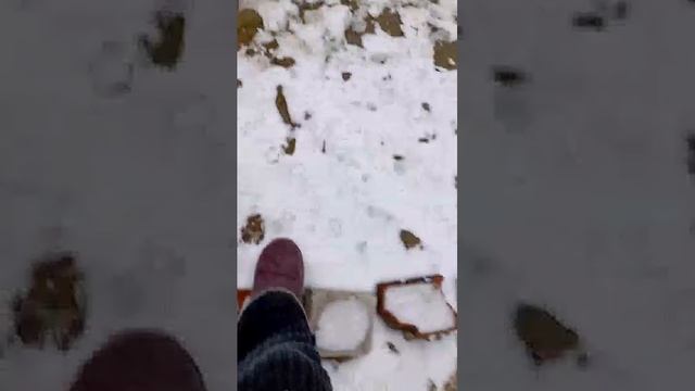 ровм