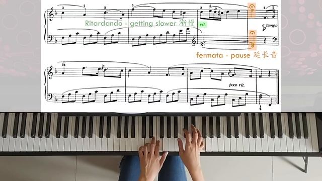 Last Rose of Summer 夏天最后的玫瑰 | Piano Pieces for Children 儿童钢琴小品集