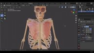 02 - Pectoralis Part 2 Sculpting the chest muscles