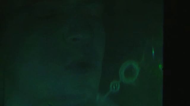 3D Weißlichthologramm (2)