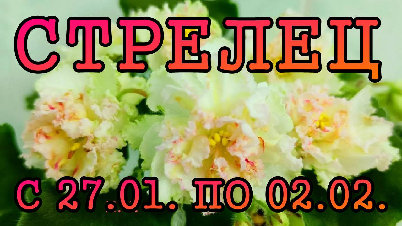 СТРЕЛЕЦ таро прогноз на неделю с 27 ЯНВАРЯ по 2 ФЕВРАЛЯ 2025 года.
