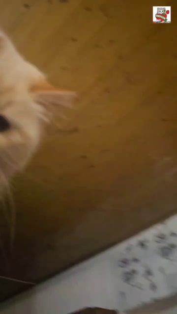 Вечерняя гимнастика Настюни 🌜❤️😻