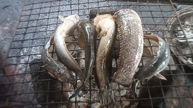 My wife grilled fish for luch