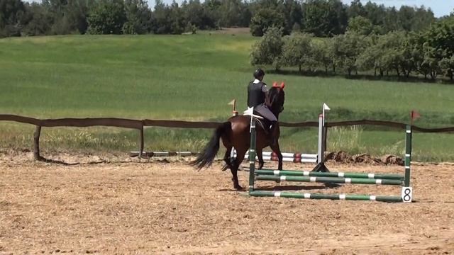 Konrad i Horda 50/60