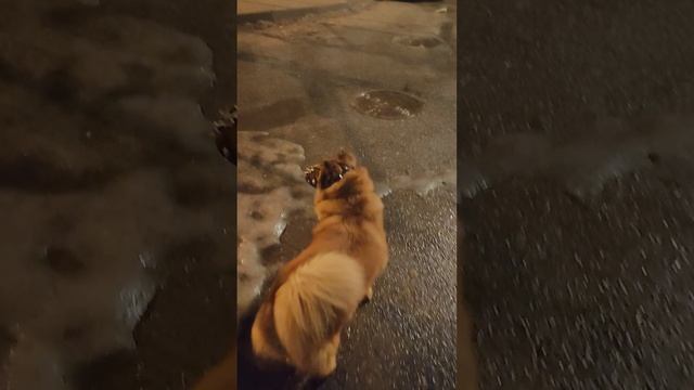 вот такой у нас январь