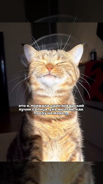 Отправь той, которая уже мыслями на пляже и считает дни до отпуска ☀️🏖️