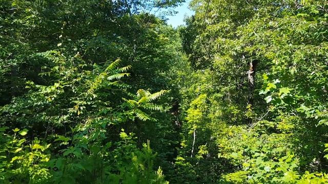 Kids tandem zip line