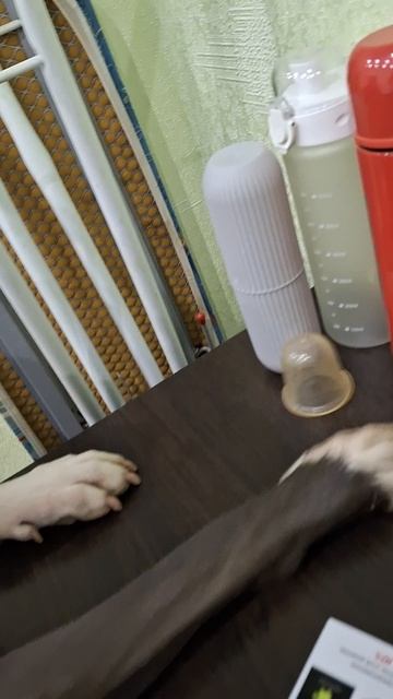 1000110875.mp4