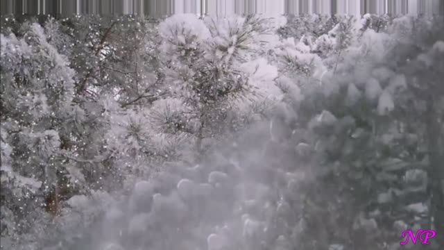 Евгений Якушенко - СЫПЛЕТ СНЕГ