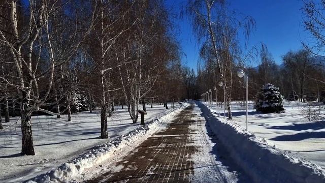 Прогулка по зимнему парку в Алматы. 25.01.2025