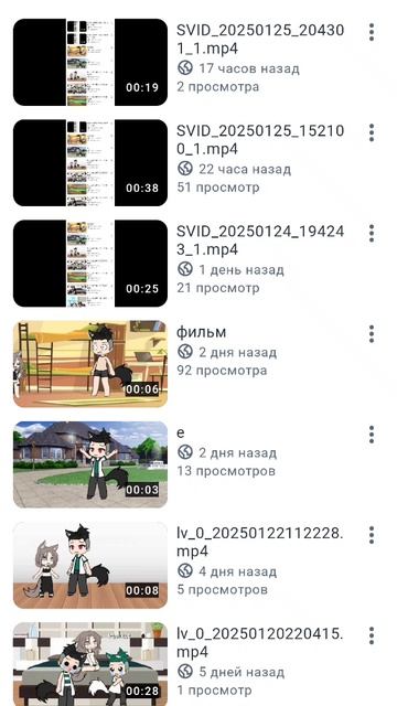 SVID_20250126_140928_1.mp4