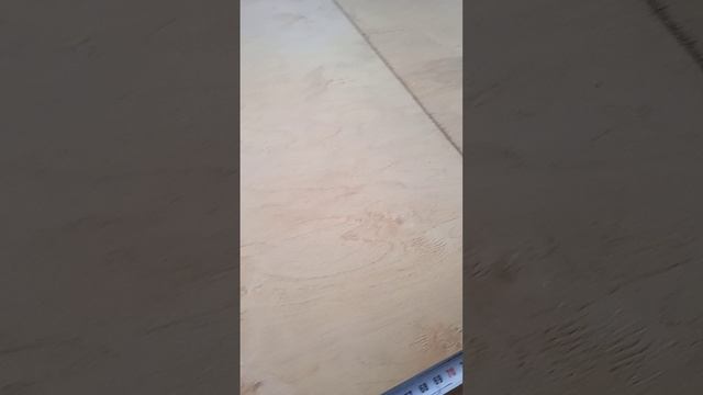VID_20240730_183317