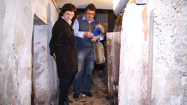 Концерты коммунальных труб