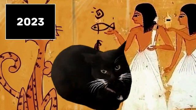 evolution of MaxWell the Cat