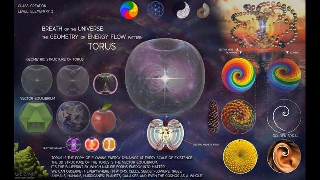 Introduction of evolution