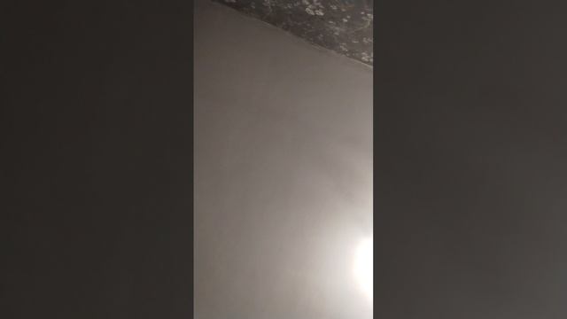 Пронёс напильник Домер Домер будет на свободе