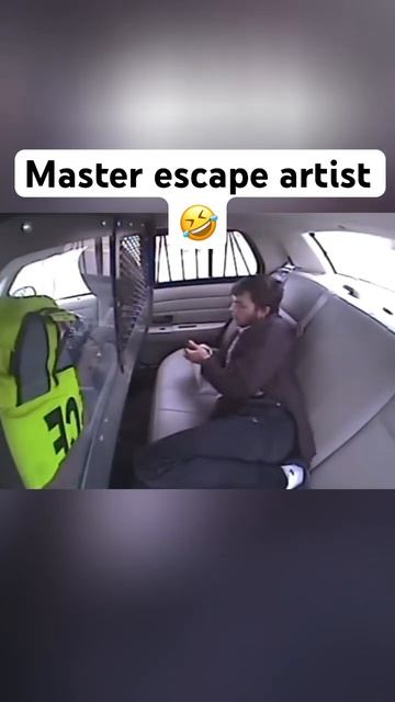 Арестант в полицейской машине Авария