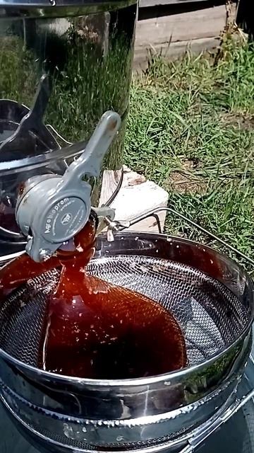 Мёд тёмное разнотравье 🍯🐝