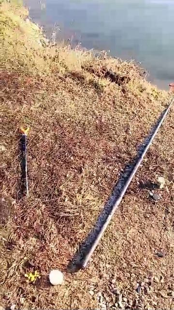 А вот и мой улов, в без клёвые и на новом месте 23.01.2025  на удивительно чудесную снасть.