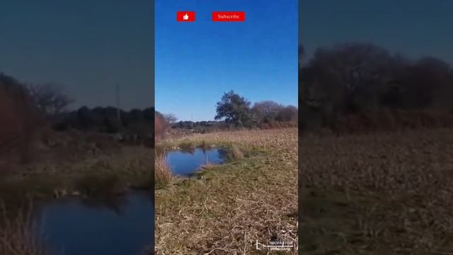 🌾 Farm for Sale | 3.1 HA Produtive Land | Central Portugal