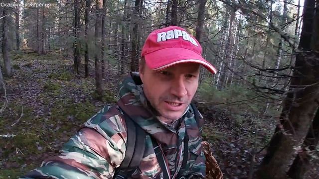 ГРИБЫ В КОНЦЕ НОЯБРЯ! НЕВЕРОЯТНАЯ ГРИБАЛКА Я ЕЩЁ ТАК НЕ СОБИРАЛ! ПЕРЕШЕЛ БОЛОТО, А ТАМ... ГРИБЫ 2020