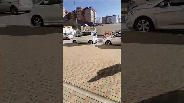 26.01.2025 идём домой.