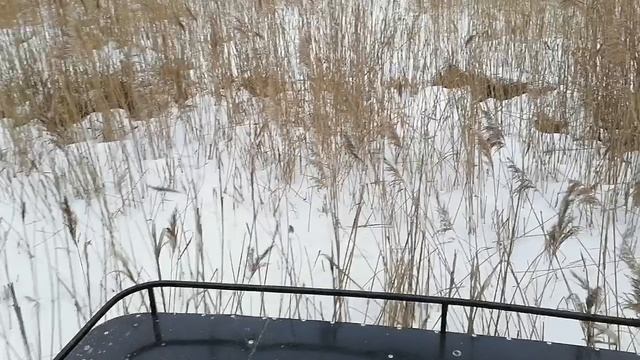 VID_20250125_131203.mp4