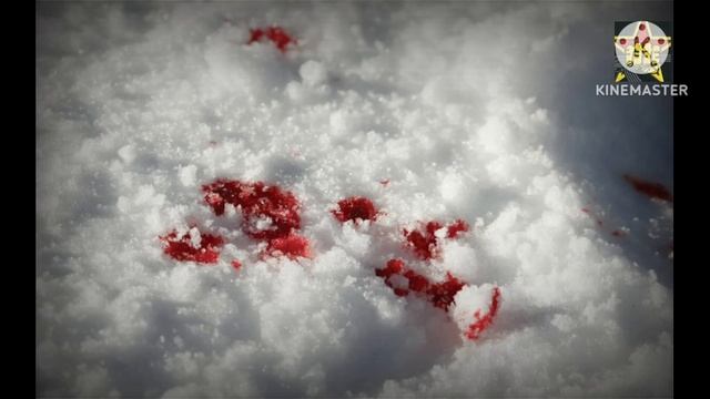 Первый снег