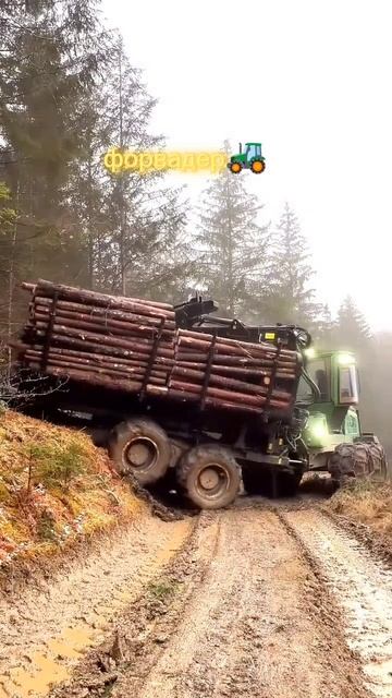 Выползает 🧐форвадер🚜