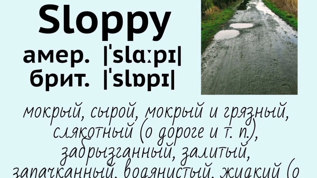 Picture dictionary/визуальный словарь👉sloppy