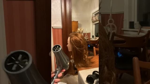 Faszin Ionic Hair Dryer, Professional Hair Dryer 1800W AC Motor Review, Lots of power, good heat